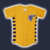 2025 Ontario Tower Buzzers Jersey