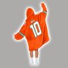 Hill 10 Dolphins Football Unisex Blanket Hoodie 2