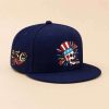 USA Skull 250th Anniversary 2026 Hat 1